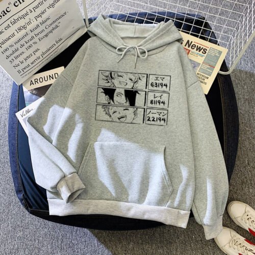 hoddie anime gris
